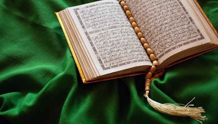 ali-burhan-2HgHr60mWVo-unsplash