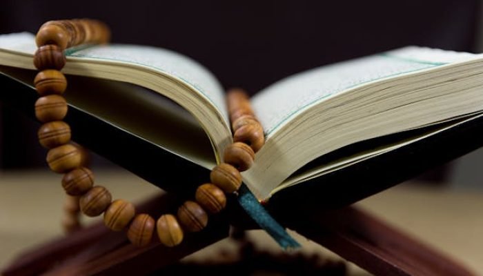 pexels-gr-stocks-1716147-8522577